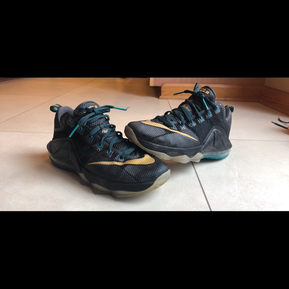 Nike Lebron 12 Low SVSM men’s size 8.5